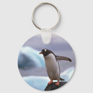 Porte-clés Penguin Gentoo