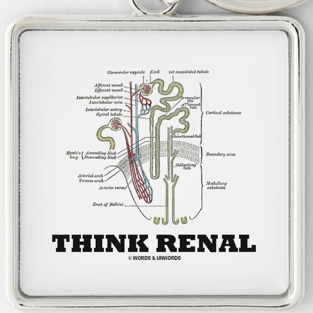 Porte-clés Pensez Renal (Néphron du rein) (Nephrological attitude keychain featuring a kidney's nephron with this advice "Think Renal")
