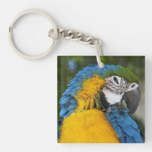 Porte-clés Perroquet Bleu Et Or