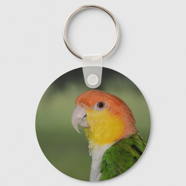 Porte-clés Perroquet caïque à ventre blanc à l'extérieur (Recto)