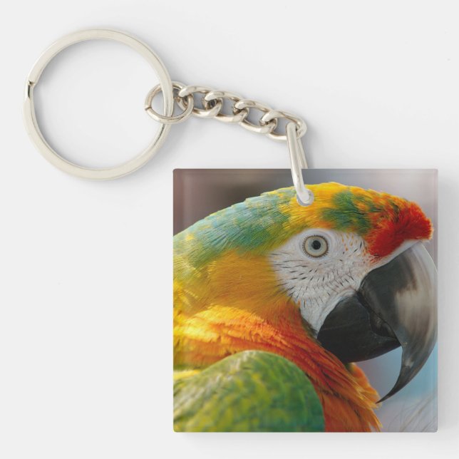 Porte-clés Perroquet de Macaw Tropical (Devant)