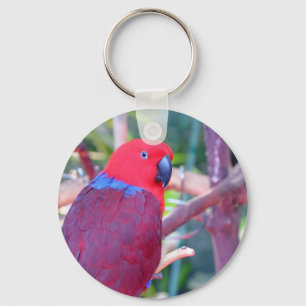 Porte-clés Perroquet d'eclectus coloré