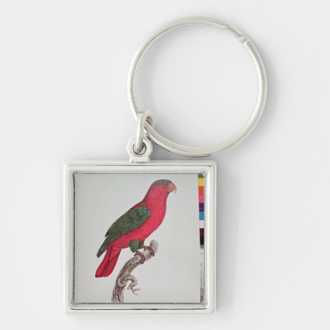 Porte-clés Perroquet : Lory ou colleté (Devant)