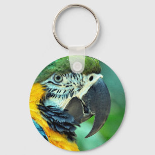 Porte-clés Perroquet macaou coloré