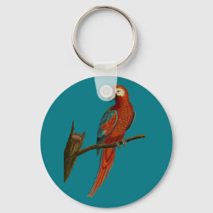Porte-clés Perroquet rouge