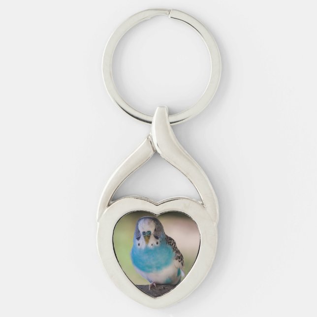 Porte-clés Perruche de porte - clé de forme de coeur (Devant)
