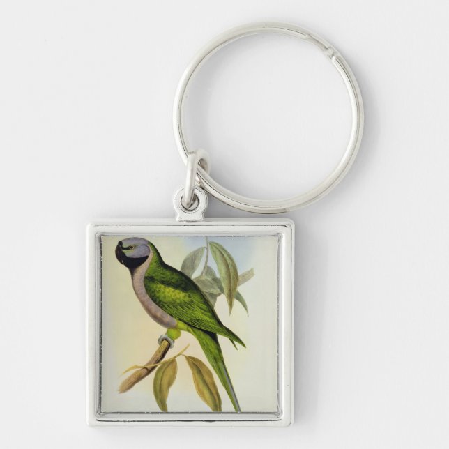 Porte-clés Perruche : Palaeornis Derbianus, c.1850 (Devant)