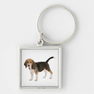 Porte-clés personnalisé Chien Beagle Puppy d'amour