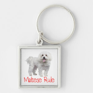 Porte-clés personnalisé Chien chiot maltais blanc