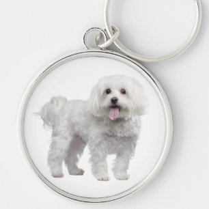 Porte-clés personnalisé Chien chiot maltais blanc
