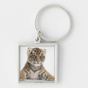Porte-clés Petit animal de tigre de Sumatran - sumatrae du
