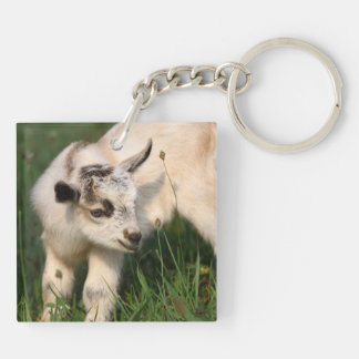 Porte-clés Petit bébé chèvre