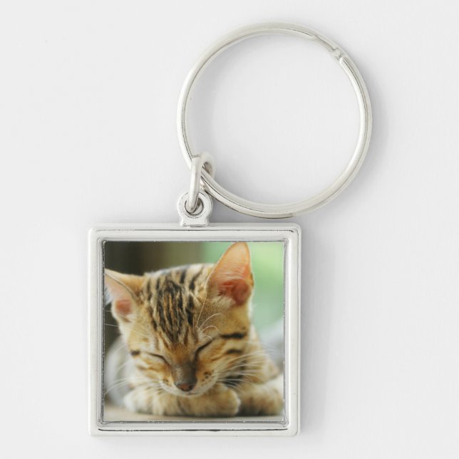 Porte-clés Petit bébé de sommeil Kitty (Devant)