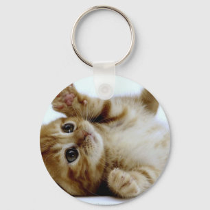 Porte-clés petit chat tigré mignon de gingembre d'animal