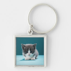 Porte-clés Petit chaton