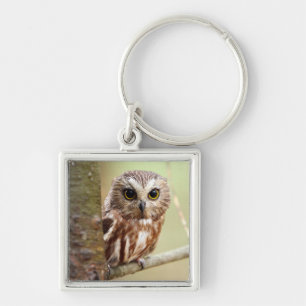 Porte-clés Petit hibou de bébé Ontarios
