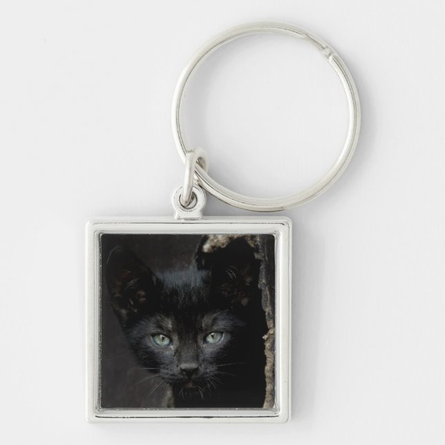 Porte-clés Petit Kitty noir (Devant)