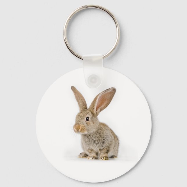 Porte-clés Petit lapin mignon (Recto)