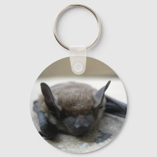 Porte-clés Petite chauve-souris brune (Myotis lucifugus)
