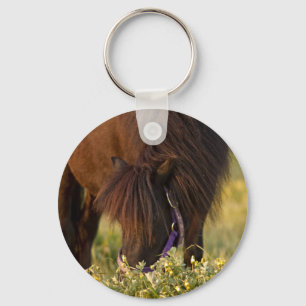 Porte-clés Peu de poney de Sharni Shetland