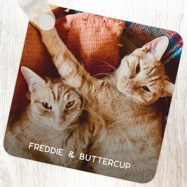 Porte-clés Photo de compagnie personnalisé (Modern pet photo personalized dog or cat name keyring or keychain)