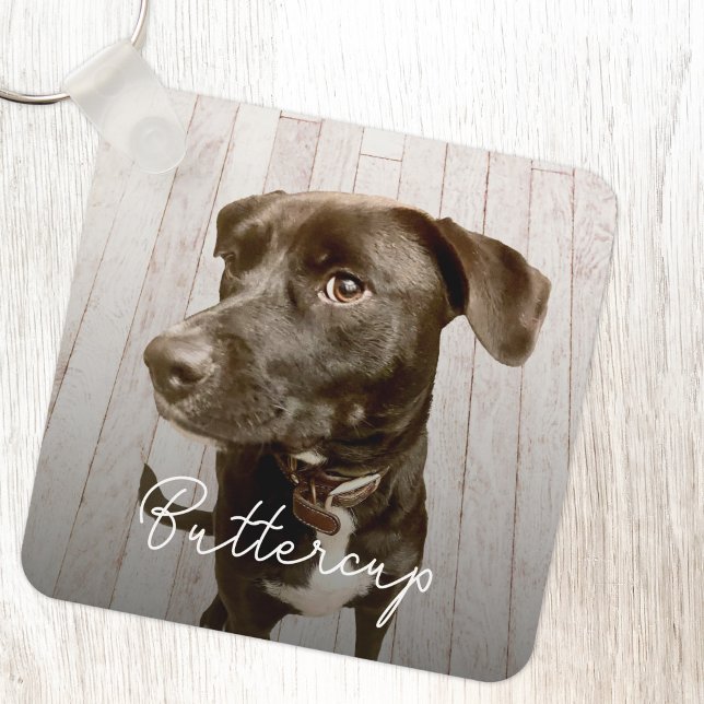 Porte-clés Photo de compagnie personnalisé (Modern pet photo personalized dog or cat name keyring or keychain)