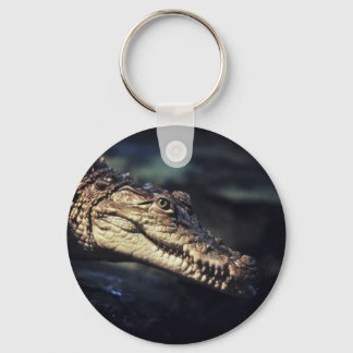 Porte-clés photo de crocodile cayman