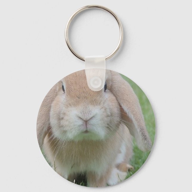 Porte-clés photo de lapin grave (Recto)