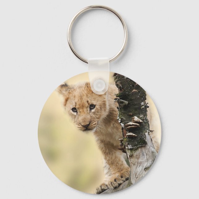 Porte-clés Photo de lionceau mignon (Recto)