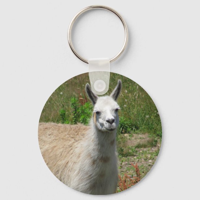 Porte-clés Photo de Llama (Recto)