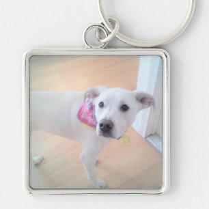 Porte-clés Photo de mignon blanc chiot blanc visage