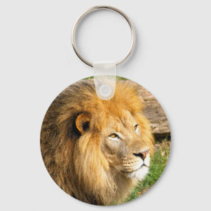 Porte-clés Photo du lion africain de la faune