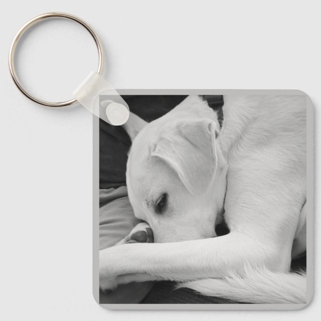 Porte-clés Photo en noir et blanc de mignon chien reposant av (Recto)
