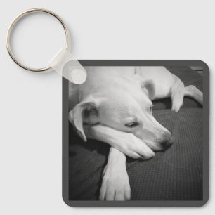 Porte-clés Photo en noir et blanc d'un beau chien dormant