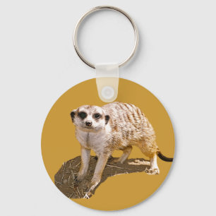 Porte-clés Photo Meerkat
