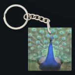 Porte-clés Photo Peacock sur porte - clé<br><div class="desc">Photographie haute définition de paon brillamment coloré sur porte - clé. Photographie de Carolina Photo To Go LLC. Utilisez pour vous-même et les cadeaux. Super faveur aussi ! Si vous avez des idées pour d'autres produits sur lesquels vous souhaitez imprimer,  envoyez un courriel à carolinaphoto2go@aol.com</div>