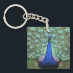 Porte-clés Photo Peacock sur porte - clé<br><div class="desc">Photographie haute définition de paon brillamment coloré sur porte - clé. Photographie de Carolina Photo To Go LLC. Utilisez pour vous-même et les cadeaux. Super faveur aussi ! Si vous avez des idées pour d'autres produits sur lesquels vous souhaitez imprimer,  envoyez un courriel à carolinaphoto2go@aol.com</div>