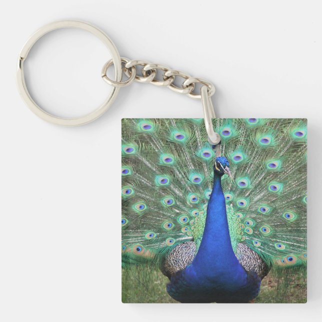 Porte-clés Photo Peacock sur porte - clé (Devant)