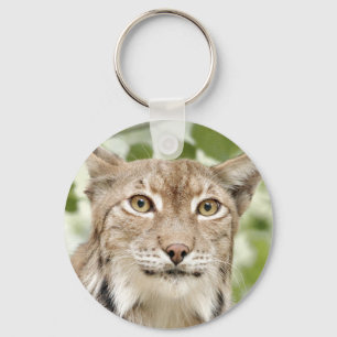 Porte-clés photo porte - clé lynx, chat, animaux .