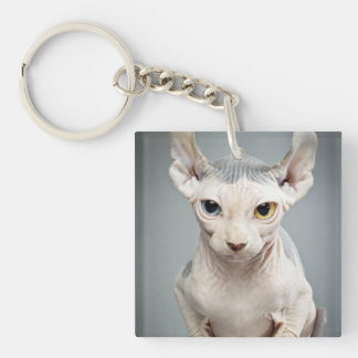 Porte-clés Photographie de chat de sphinx d'Elf