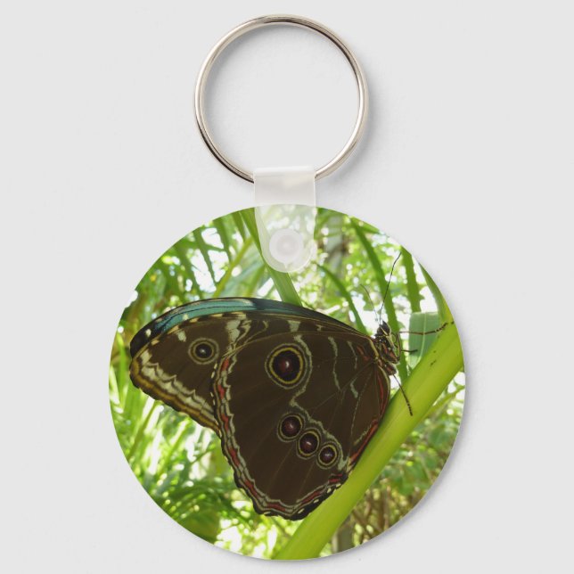 Porte-clés Photographie de la nature du papillon Morpho bleu (Recto)