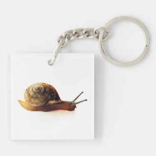 Porte-clés Photographie de la nature d'un escargot de jardin