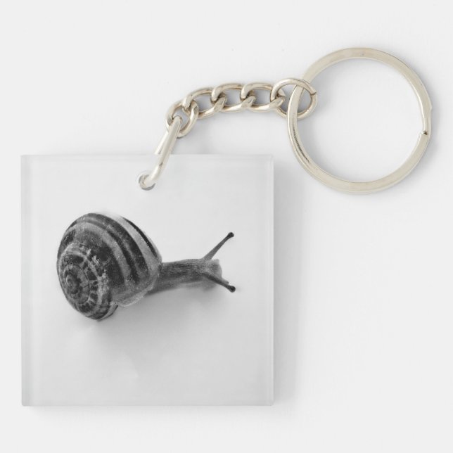 Porte-clés Photographie de la nature d'un escargot de jardin (Dos)