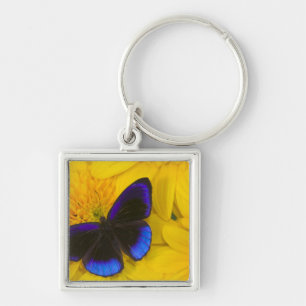 Porte-clés Photographie de papillon