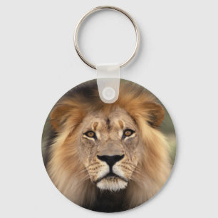 Porte-clés Photographie des lions