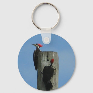 Porte-clés Pic sur un pôle