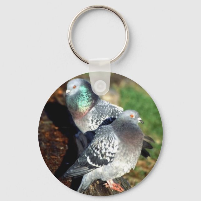 Porte-clés Pigeons Day Dream (Recto)