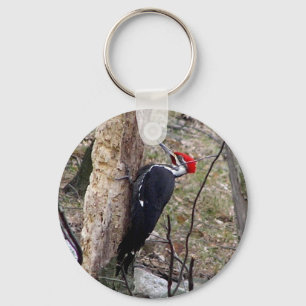 Porte-clés Pileated Woodpecker