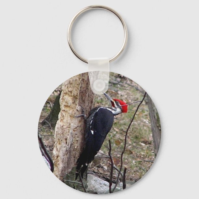 Porte-clés Pileated Woodpecker (Recto)