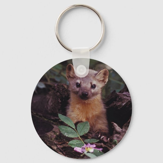 Porte-clés Pine Marten (Recto)